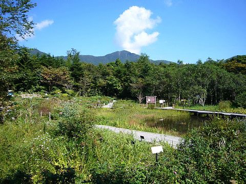 箱根湿生花園