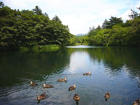 雲場池