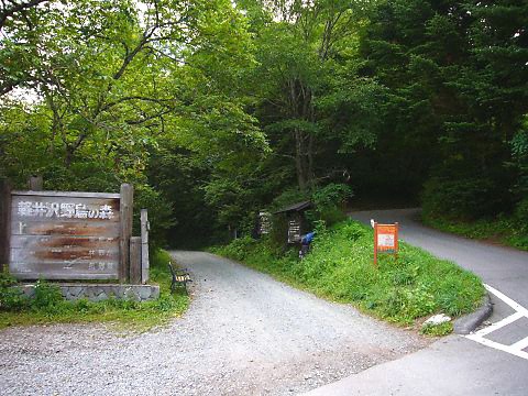 軽井沢野鳥の森