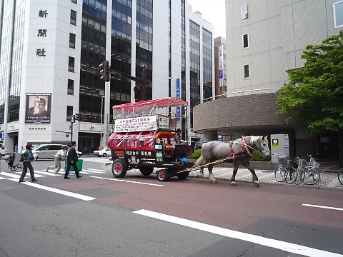 札幌観光幌馬車